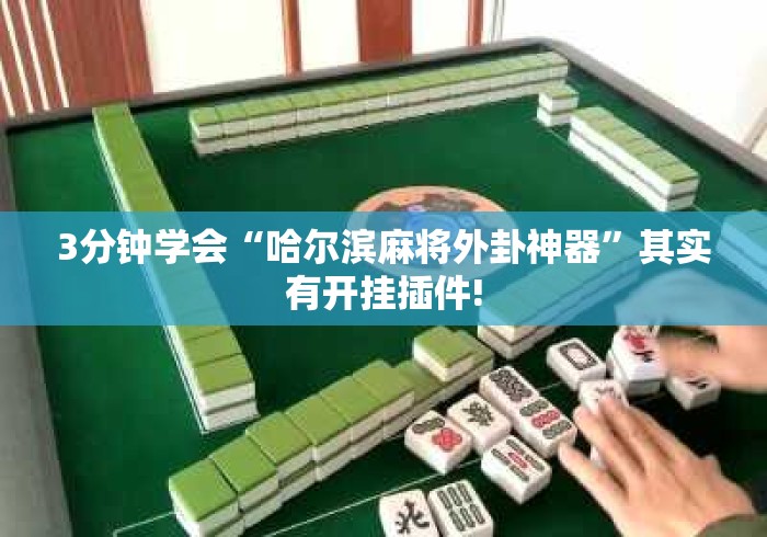 3分钟学会“哈尔滨麻将外卦神器”其实有开挂插件!