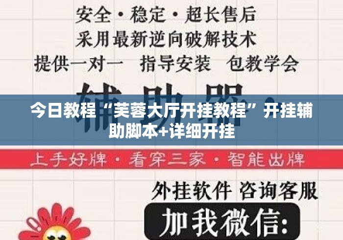 今日教程“芙蓉大厅开挂教程”开挂辅助脚本+详细开挂