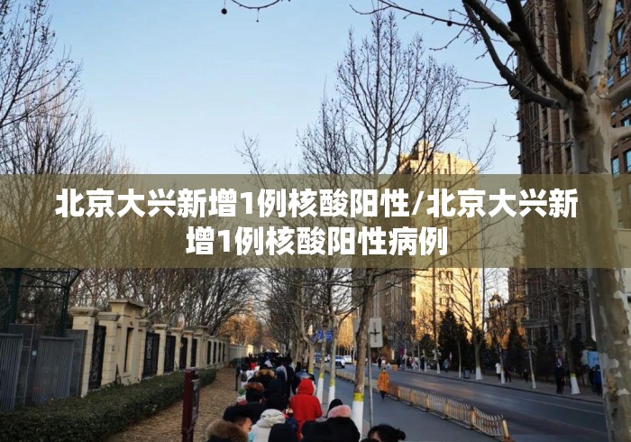 北京大兴新增1例核酸阳性/北京大兴新增1例核酸阳性病例 北京大兴新增1例核酸阳性/北京大兴新增1例核酸阳性病例