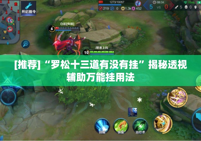 [推荐]“罗松十三道有没有挂”揭秘透视辅助万能挂用法