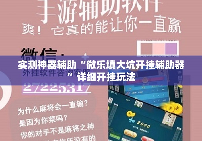 实测神器辅助“微乐填大坑开挂辅助器”详细开挂玩法
