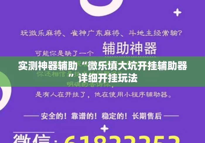 实测神器辅助“微乐填大坑开挂辅助器”详细开挂玩法
