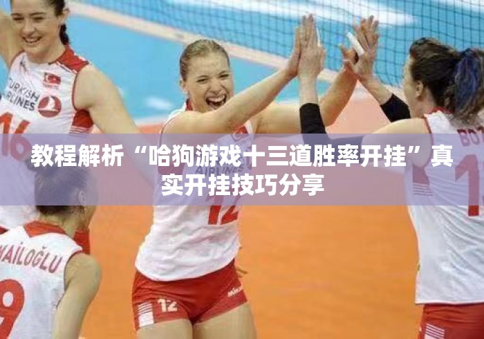 教程解析“哈狗游戏十三道胜率开挂	”真实开挂技巧分享