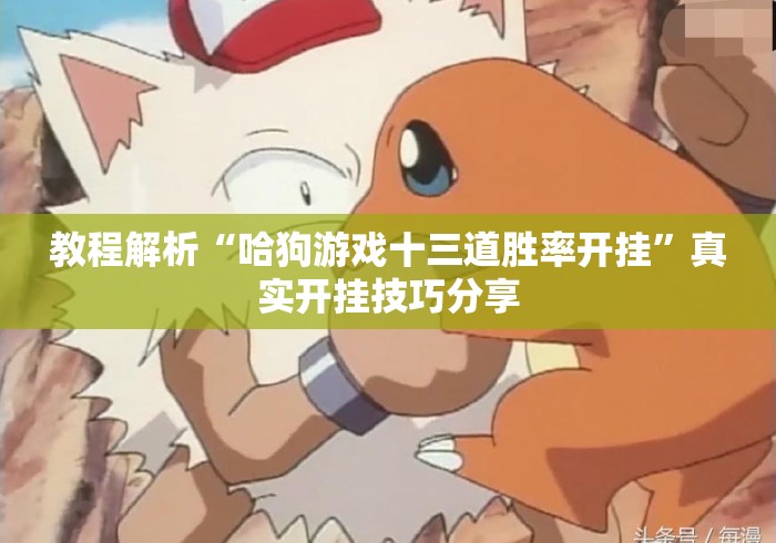 教程解析“哈狗游戏十三道胜率开挂”真实开挂技巧分享
