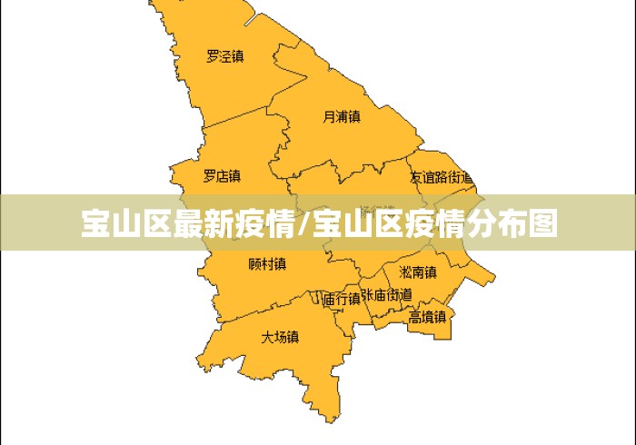 宝山区最新疫情/宝山区疫情分布图 宝山区最新疫情/宝山区疫情分布图