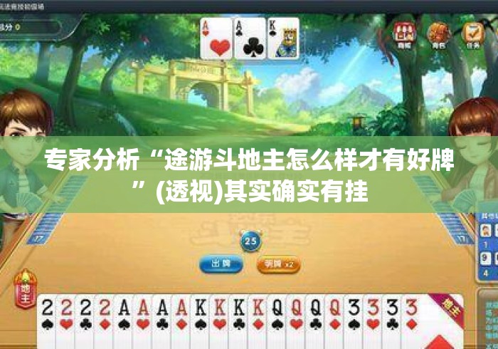 专家分析“途游斗地主怎么样才有好牌”(透视)其实确实有挂