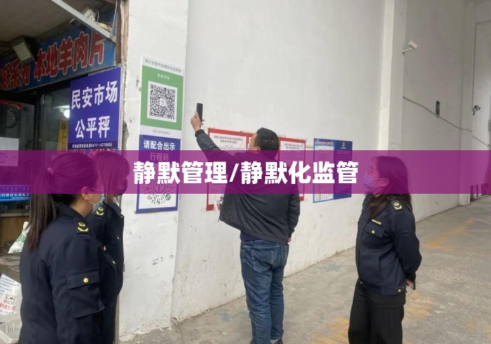 静默管理/静默化监管 静默管理/静默化监管