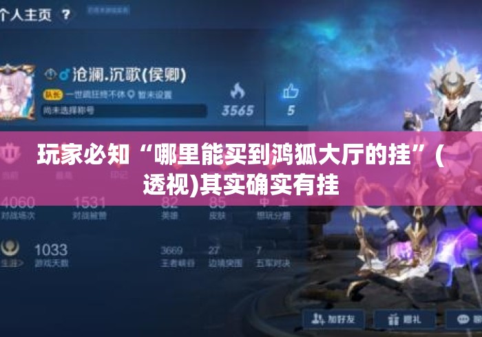 玩家必知“哪里能买到鸿狐大厅的挂	”(透视)其实确实有挂