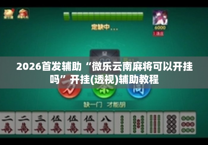 2026首发辅助“微乐云南麻将可以开挂吗”开挂(透视)辅助教程