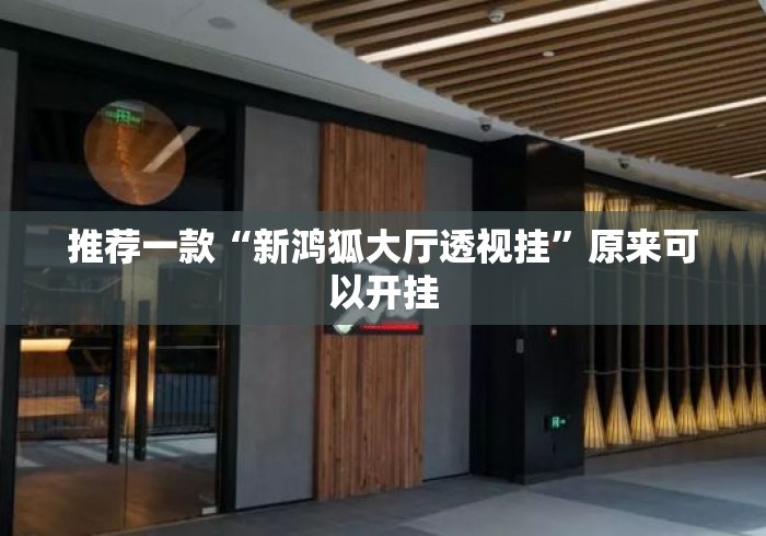 推荐一款“新鸿狐大厅透视挂”原来可以开挂