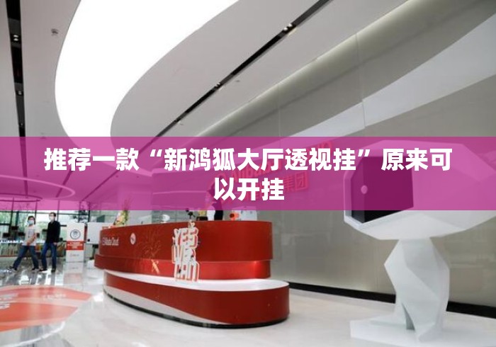 推荐一款“新鸿狐大厅透视挂”原来可以开挂