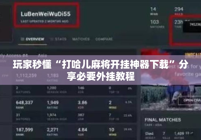 玩家秒懂“打哈儿麻将开挂神器下载”分享必要外挂教程