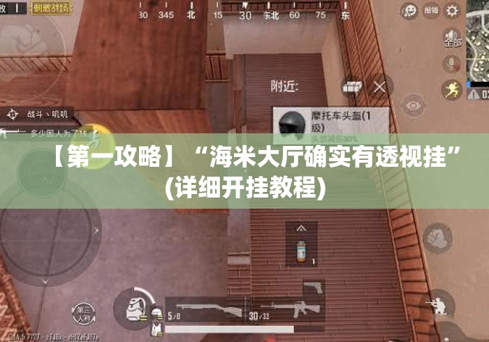 【第一攻略】“海米大厅确实有透视挂”(详细开挂教程)