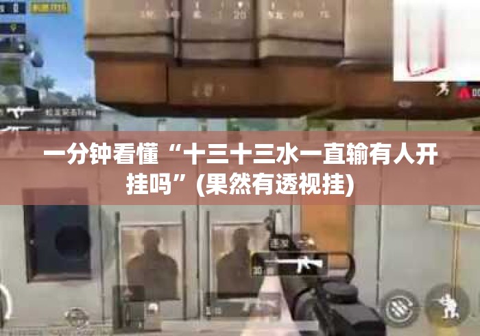 一分钟看懂“十三十三水一直输有人开挂吗”(果然有透视挂)