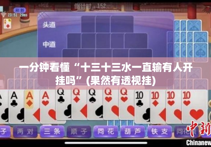 一分钟看懂“十三十三水一直输有人开挂吗”(果然有透视挂)