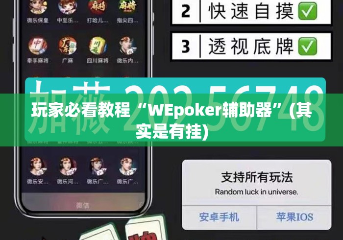 玩家必看教程“WEpoker辅助器”(其实是有挂)
