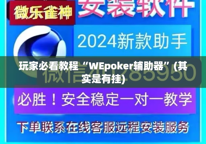 玩家必看教程“WEpoker辅助器”(其实是有挂)