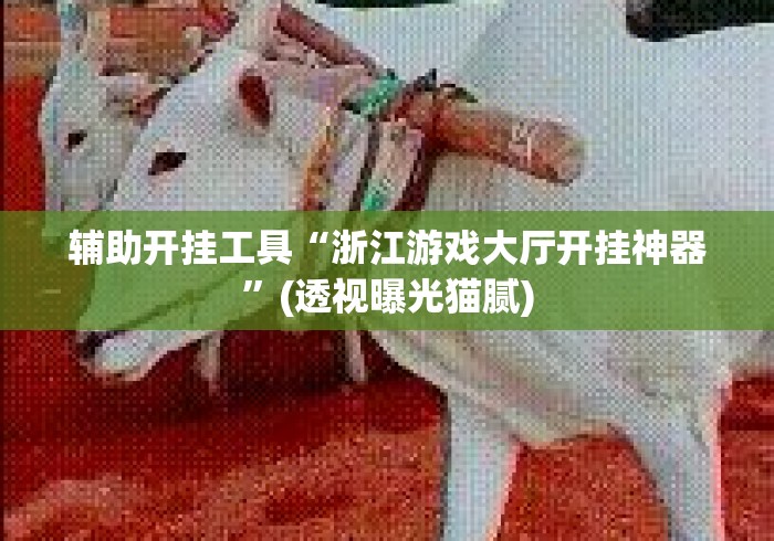 辅助开挂工具“浙江游戏大厅开挂神器”(透视曝光猫腻)