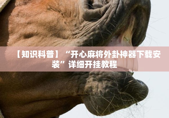 【知识科普】“开心麻将外卦神器下载安装”详细开挂教程