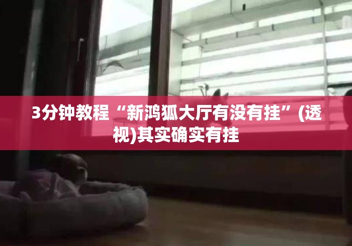3分钟教程“新鸿狐大厅有没有挂”(透视)其实确实有挂