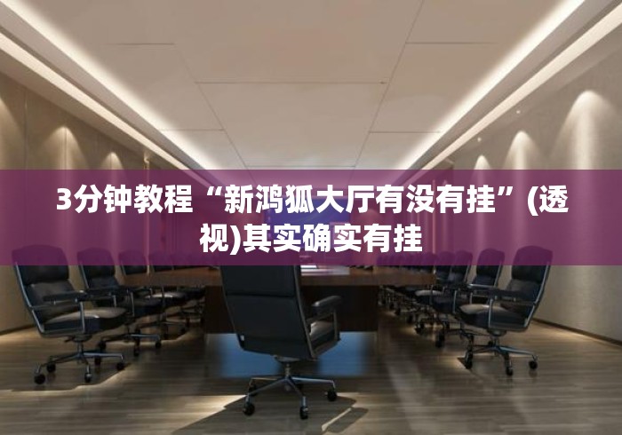 3分钟教程“新鸿狐大厅有没有挂”(透视)其实确实有挂