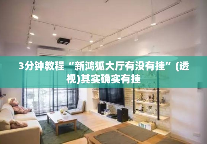 3分钟教程“新鸿狐大厅有没有挂”(透视)其实确实有挂