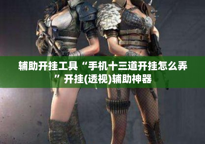 辅助开挂工具“手机十三道开挂怎么弄”开挂(透视)辅助神器