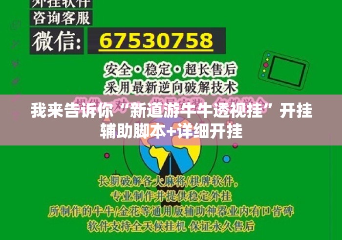 我来告诉你“新道游牛牛透视挂	”开挂辅助脚本+详细开挂