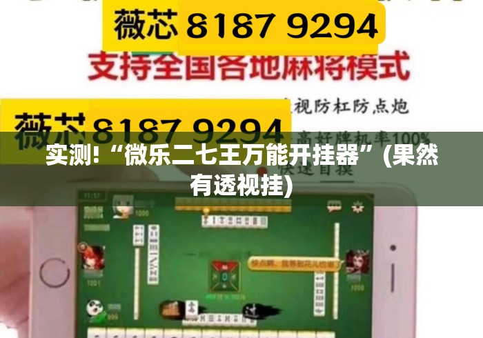 实测!“微乐二七王万能开挂器	”(果然有透视挂)
