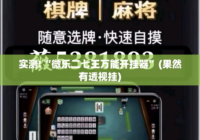 实测!“微乐二七王万能开挂器”(果然有透视挂)