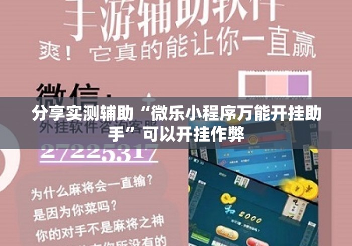 分享实测辅助“微乐小程序万能开挂助手	”可以开挂作弊