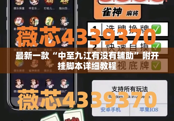 最新一款“中至九江有没有辅助”附开挂脚本详细教程