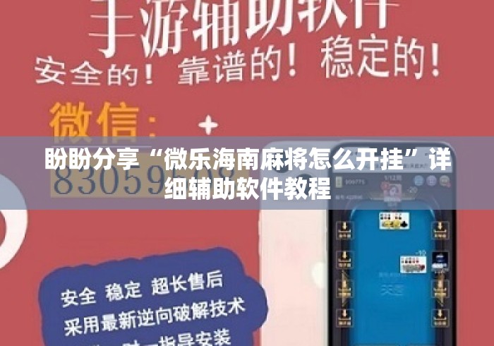 盼盼分享“微乐海南麻将怎么开挂”详细辅助软件教程