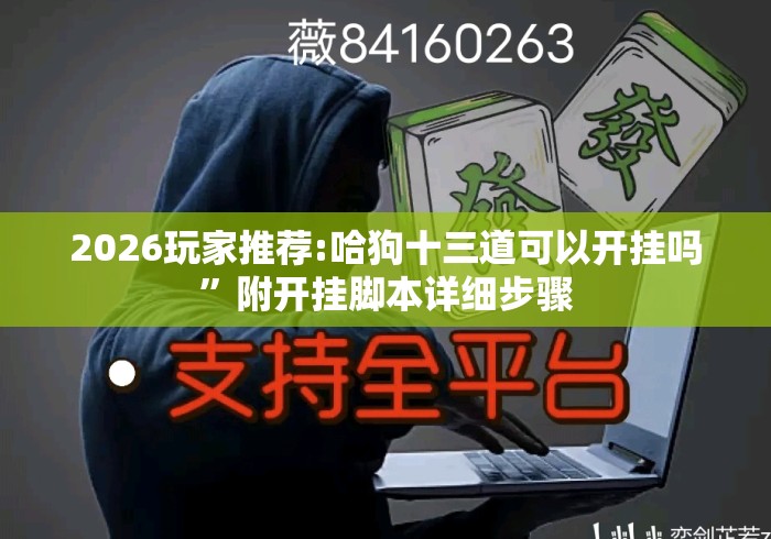 2026玩家推荐:哈狗十三道可以开挂吗”附开挂脚本详细步骤