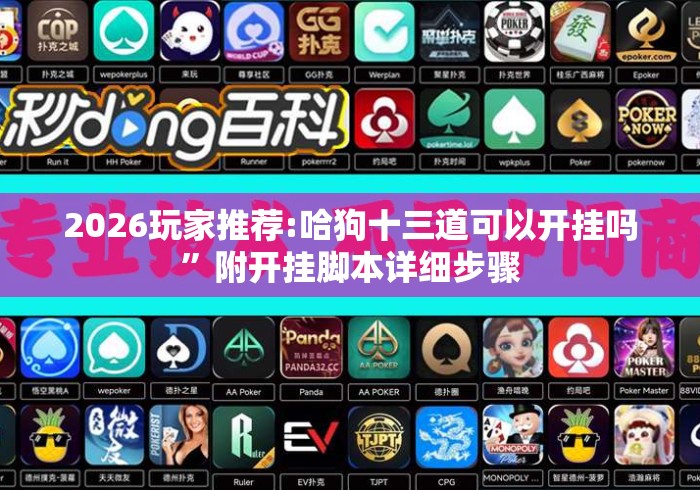 2026玩家推荐:哈狗十三道可以开挂吗”附开挂脚本详细步骤