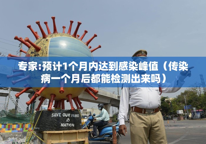 专家:预计1个月内达到感染峰值(传染病一个月后都能检测出来吗) 专家:预计1个月内达到感染峰值(传染病一个月后都能检测出来吗)