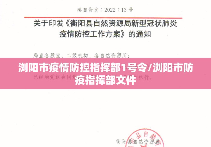 浏阳市疫情防控指挥部1号令/浏阳市防疫指挥部文件 浏阳市疫情防控指挥部1号令/浏阳市防疫指挥部文件