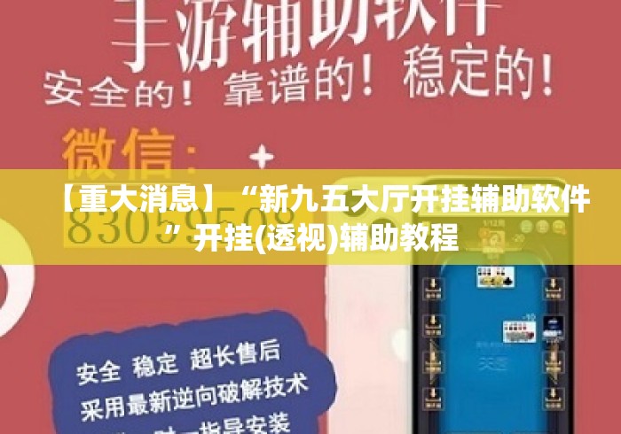【重大消息】“新九五大厅开挂辅助软件”开挂(透视)辅助教程