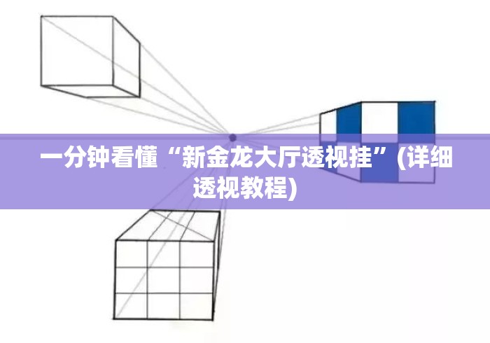 一分钟看懂“新金龙大厅透视挂”(详细透视教程)