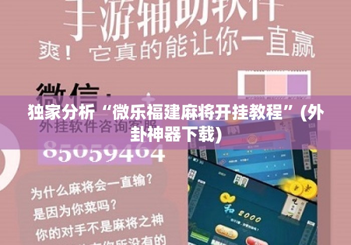 独家分析“微乐福建麻将开挂教程”(外卦神器下载)
