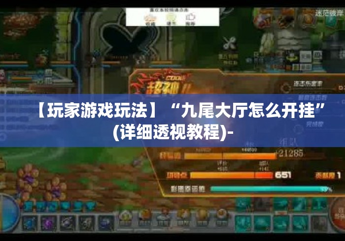 【玩家游戏玩法】“九尾大厅怎么开挂”(详细透视教程)-