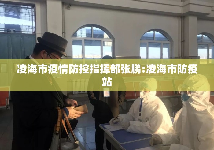 凌海市疫情防控指挥部张鹏:凌海市防疫站 凌海市疫情防控指挥部张鹏:凌海市防疫站