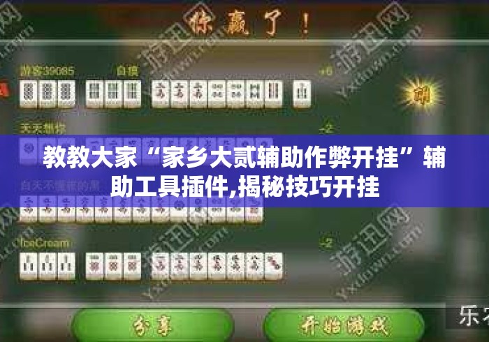 教教大家“家乡大贰辅助作弊开挂”辅助工具插件,揭秘技巧开挂