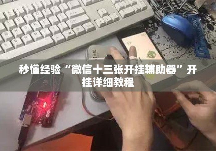 秒懂经验“微信十三张开挂辅助器”开挂详细教程