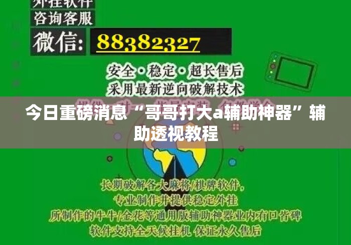 今日重磅消息“哥哥打大a辅助神器”辅助透视教程
