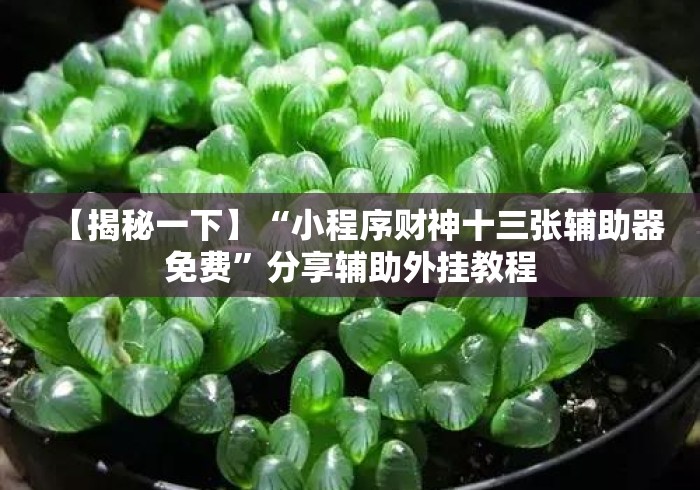 【揭秘一下】“小程序财神十三张辅助器免费”分享辅助外挂教程