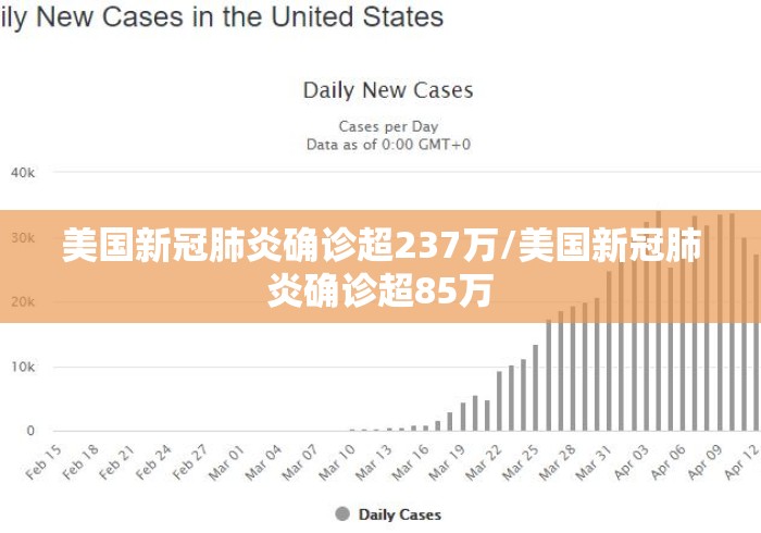 美国新冠肺炎确诊超237万/美国新冠肺炎确诊超85万