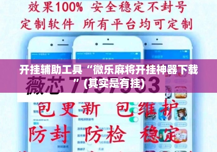 开挂辅助工具“微乐麻将开挂神器下载”(其实是有挂)