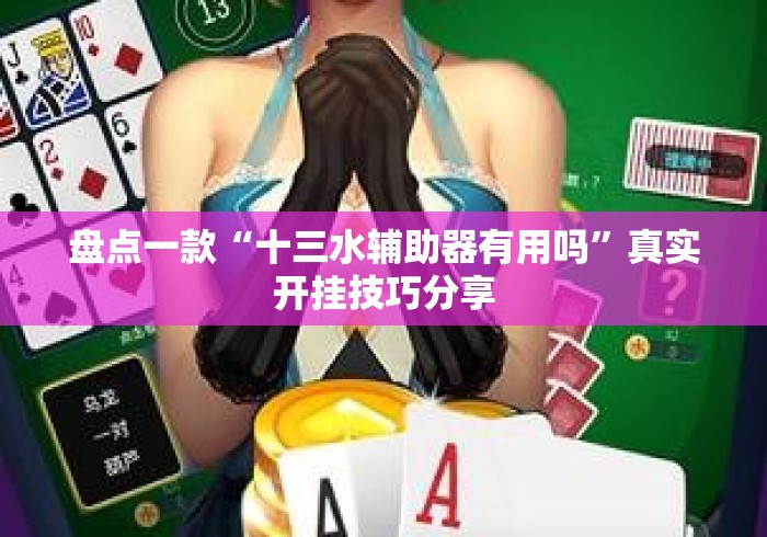 盘点一款“十三水辅助器有用吗	”真实开挂技巧分享