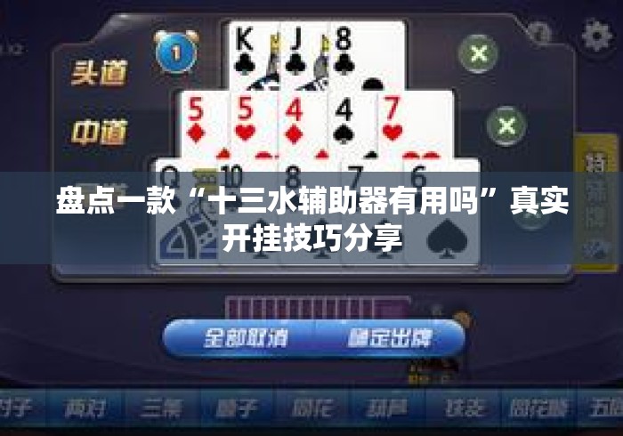 盘点一款“十三水辅助器有用吗”真实开挂技巧分享